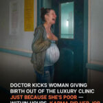 Arrogant Doctor Kicks Out Poor Girl Giving Birth on the Doorstep of Luxury Clinic – Story of the Day